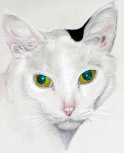 Roswita Busskamp painting Purry