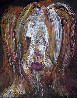 Roswita Busskamp drawing Angus’ Head