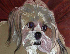 Roswita Busskamp drawing Jasper