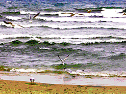 Roswita Busskamp painting Waves